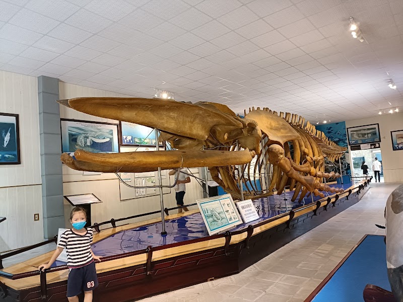 National Oceanographic Museum