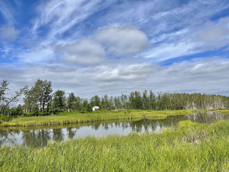Pilgrim River Hot Springs