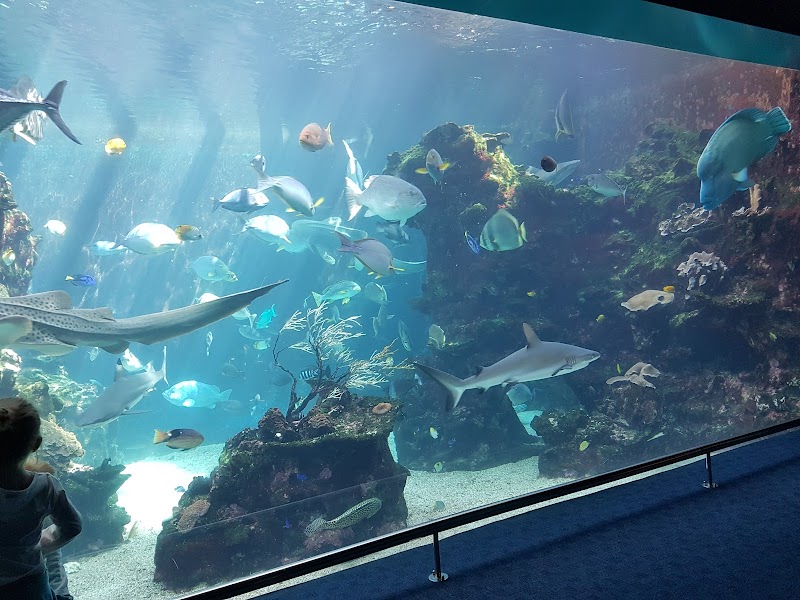 Aquarium des Lagons