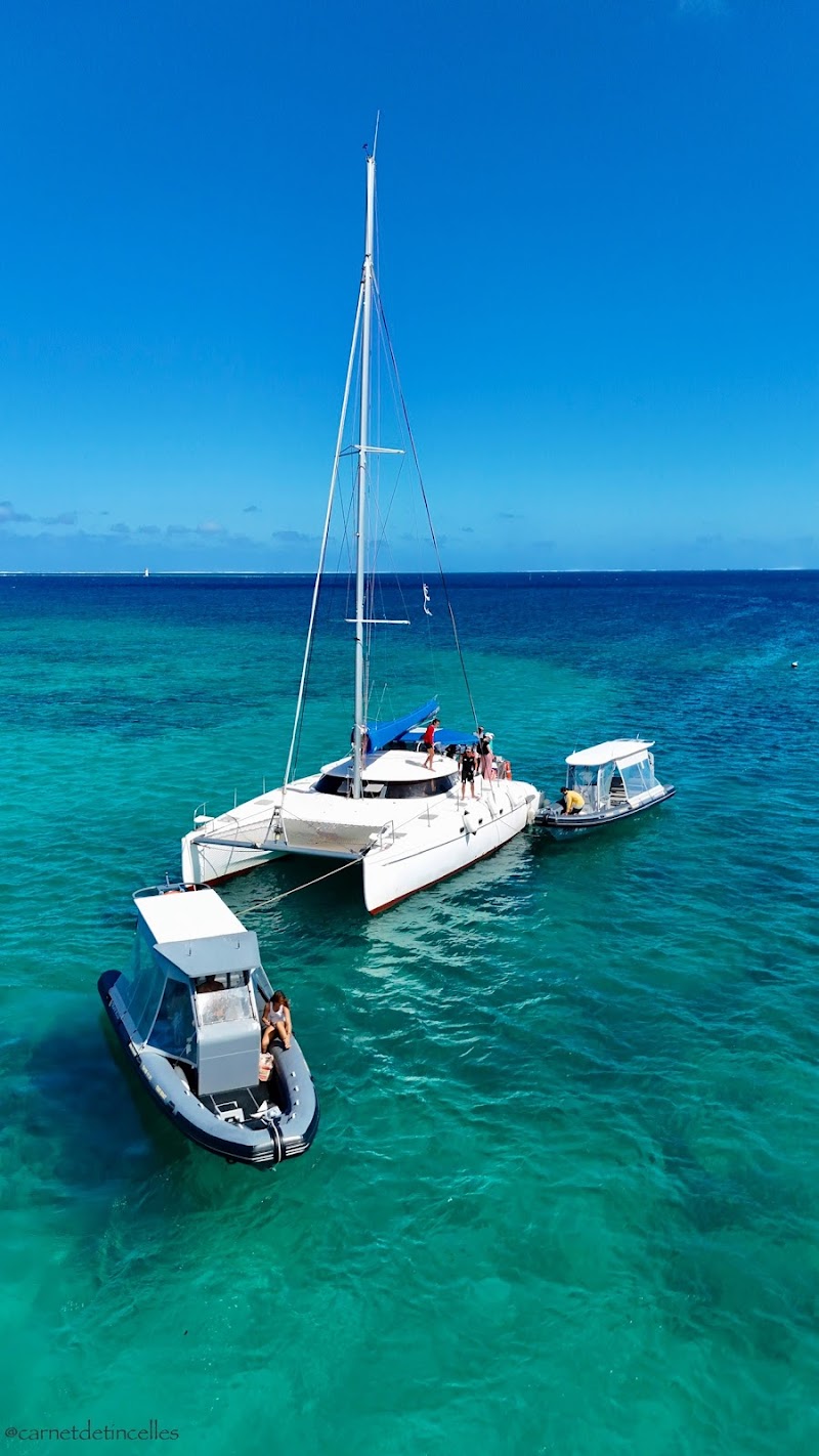 Dolphin Dream Snorkel