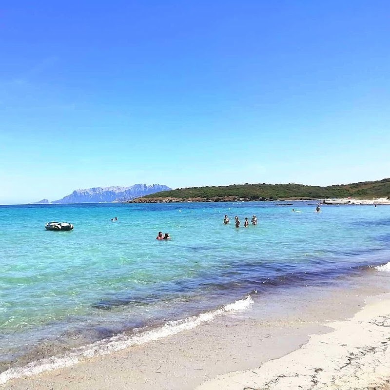 Spiaggia di Pittulongu