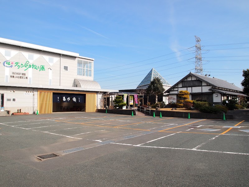 Green Tea Plantation Tour