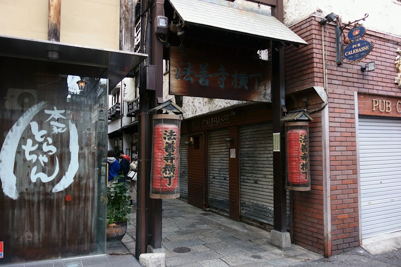 Hozenji Yokocho Alley