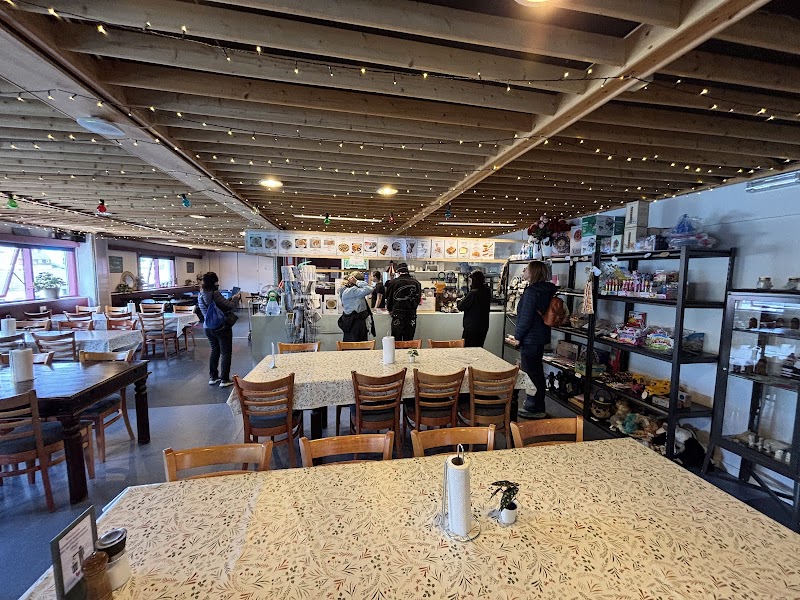 Iceberg Watching Boat Tour