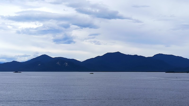 Paranaguá Bay Mangroves