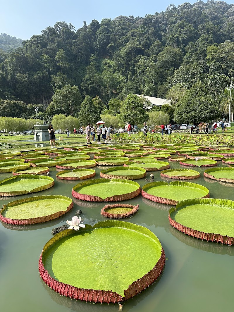 Penang Botanic Gardens