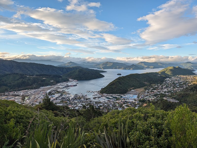 Torea Sea Birds Sculpture Track