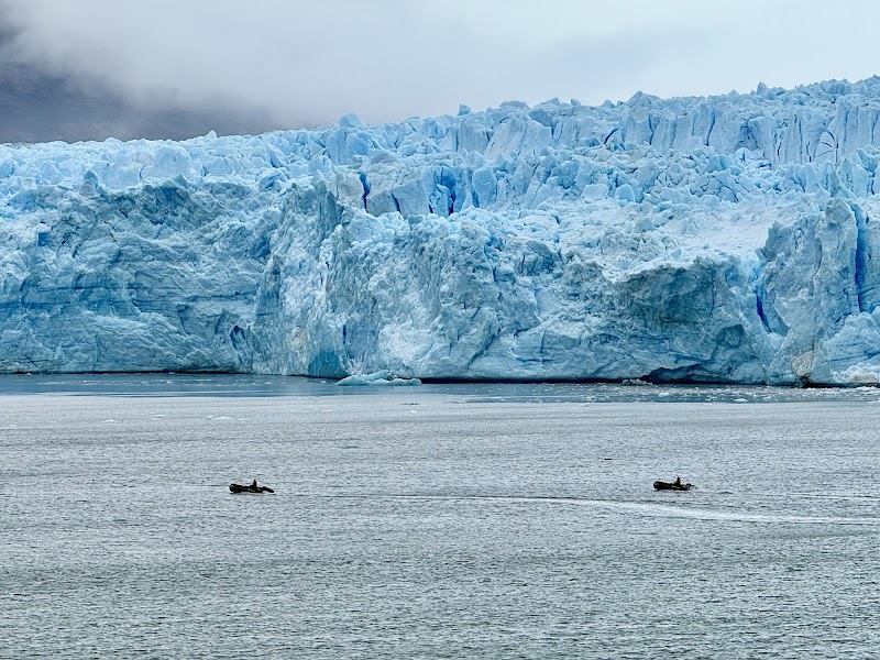 Pío XI Glacier Boat Tour