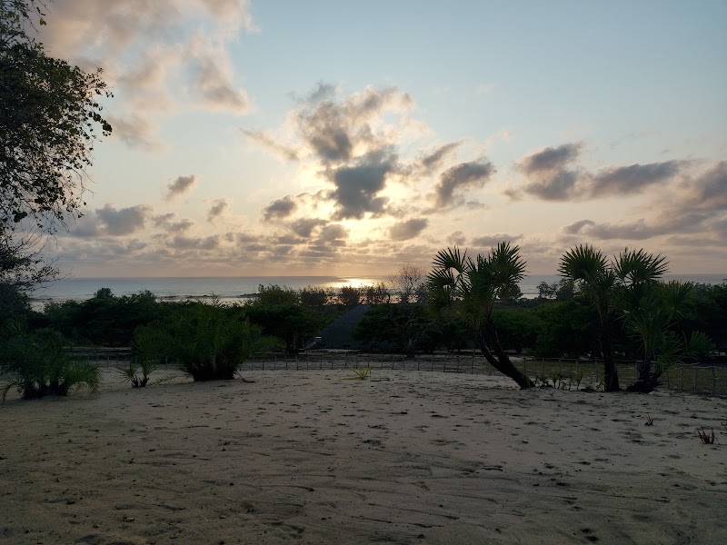 Local Fishing Village
