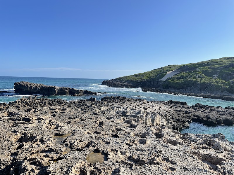 Turtle Nesting Sites