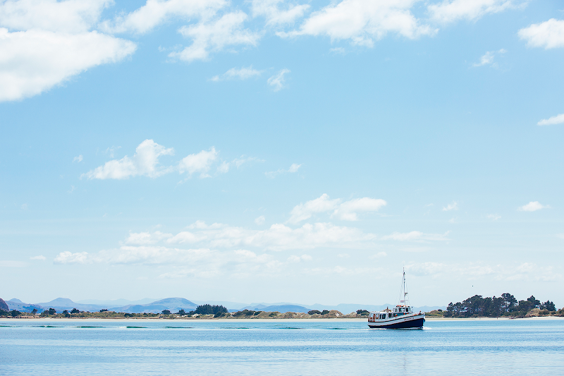 Otago Peninsula Wildlife Cruise