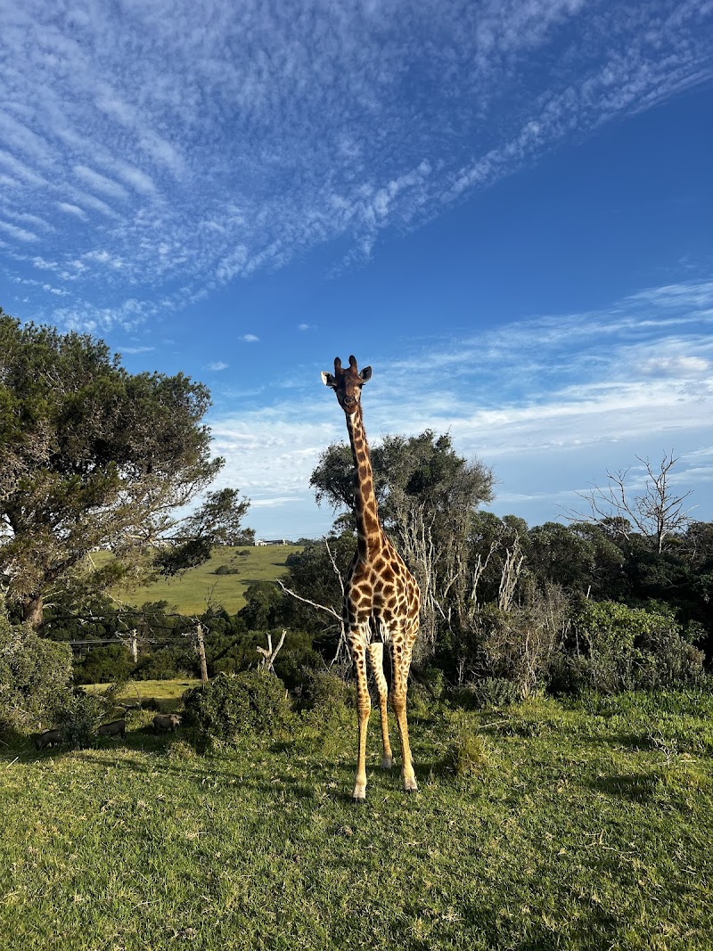 Kragga Kamma Game Park