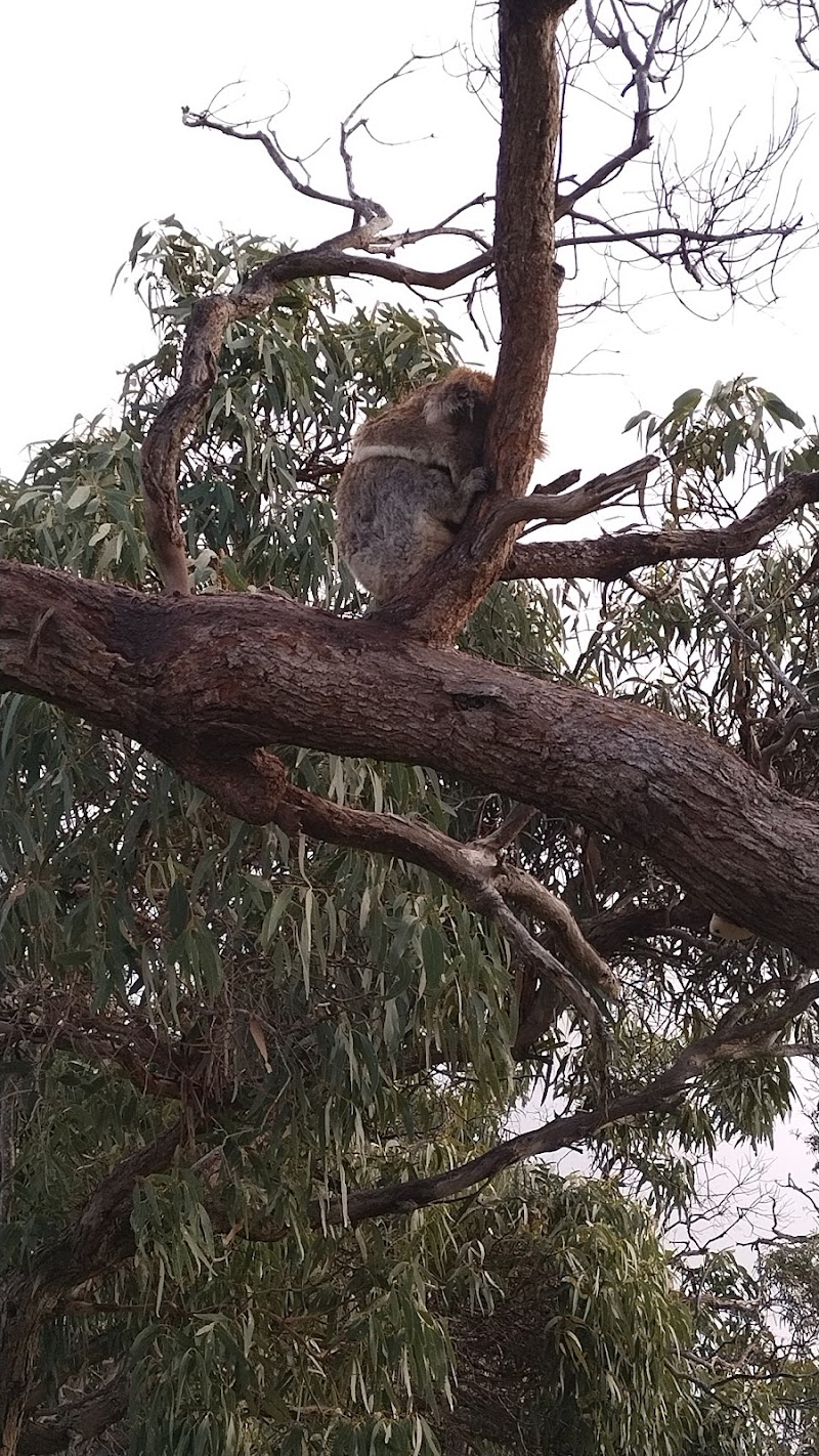 Mikkira Station Animal Farm