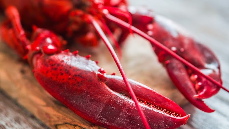 Maine Lobster Festival Area (Commercial Street)