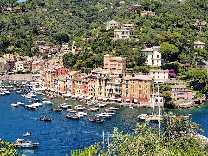 Paraglider Hill & Castello Brown