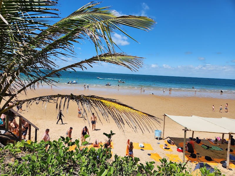 Turtle Nesting Watch