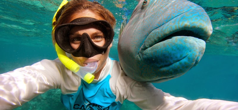 Calypso Reef Snorkel