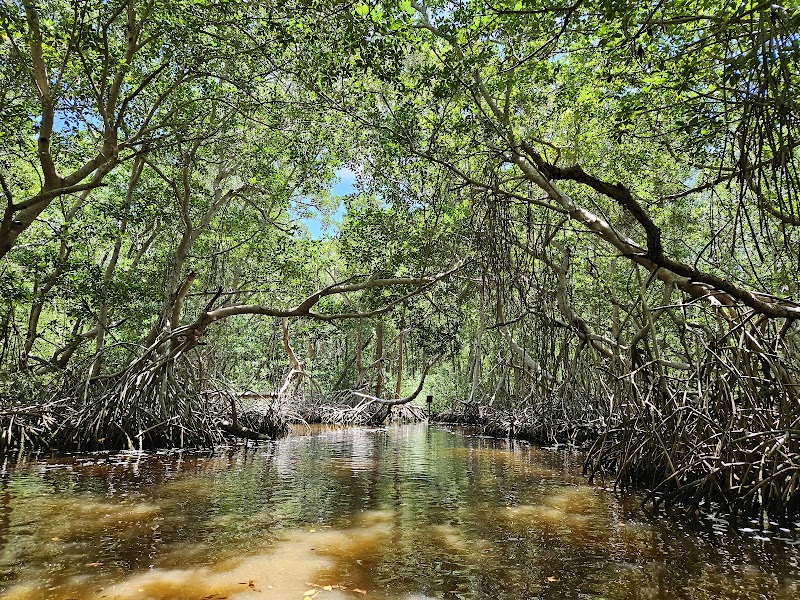 Celestún Biosphere Reserve