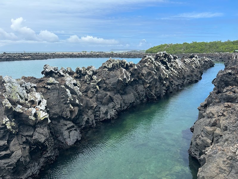 Tintoreras Islet