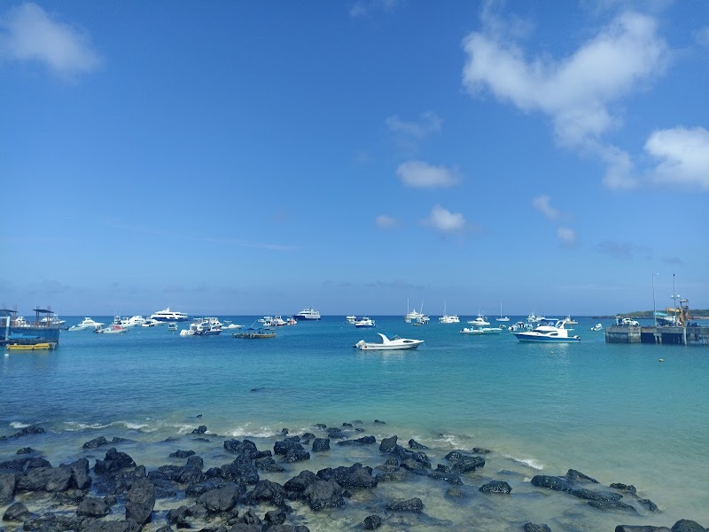 Town Waterfront Stroll