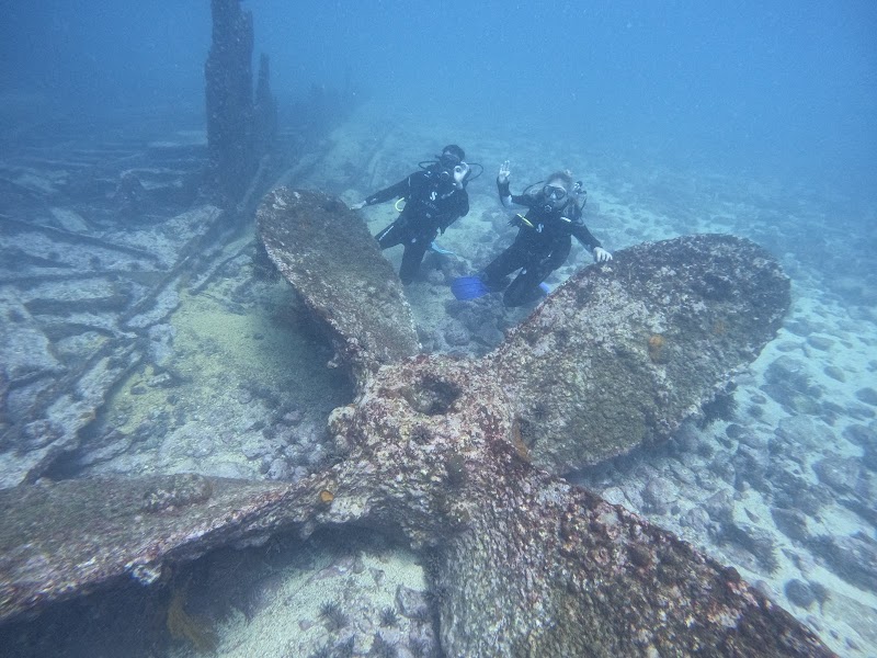 Wreck of the Washington