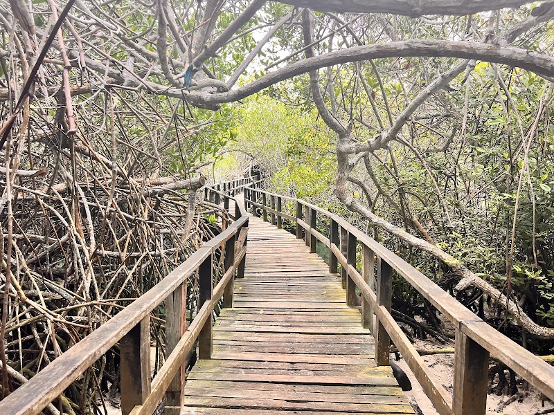 Snorkeling Puerto Egas