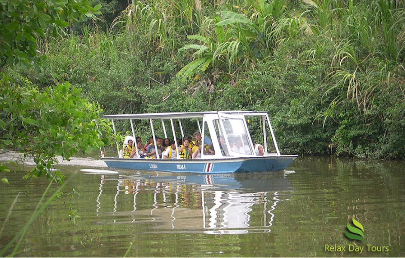 Vegas Farm Crocodile Tours