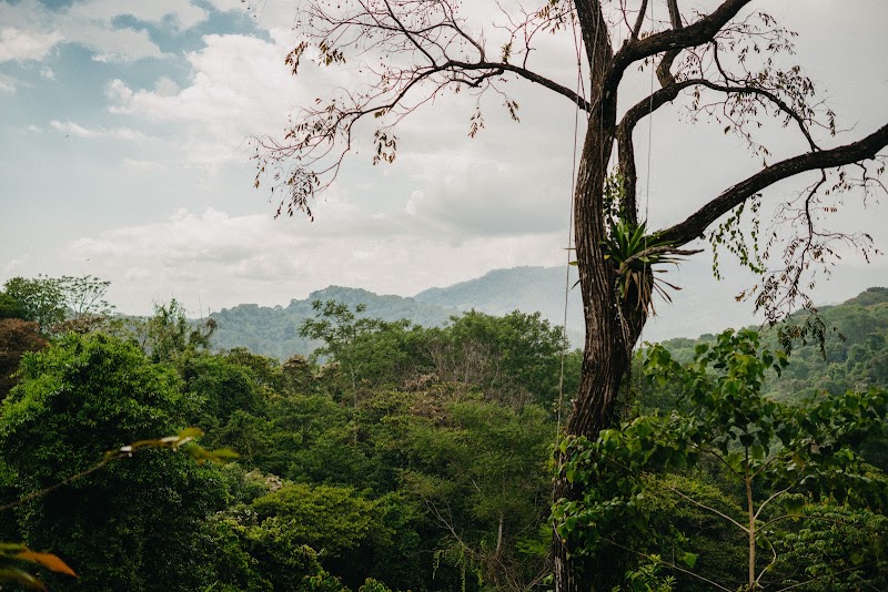 Spice Tours Plantation