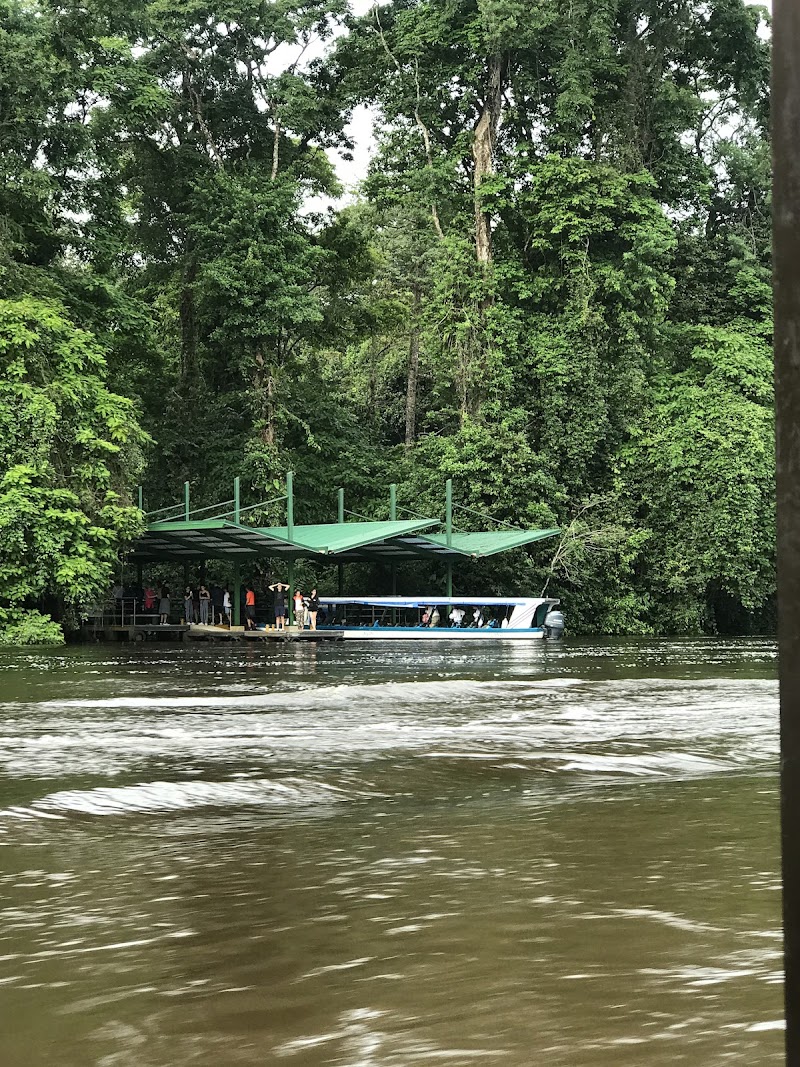 Tortuguero Canals (day trip)