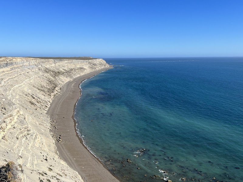 Punta Ninfas Sea Lions