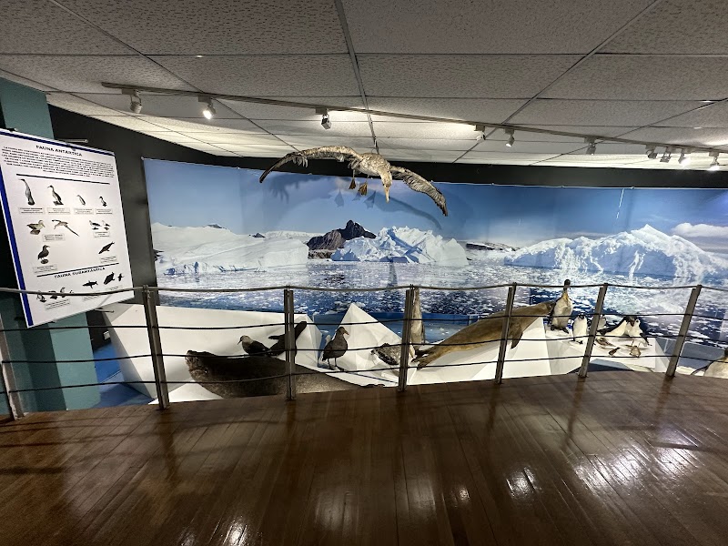 Salesian Museum John Paul II