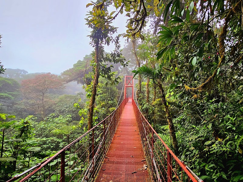 Monteverde Cloud Forest