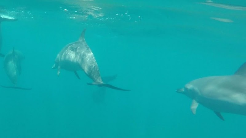 Sámara or Tamarindo Beach Excursion