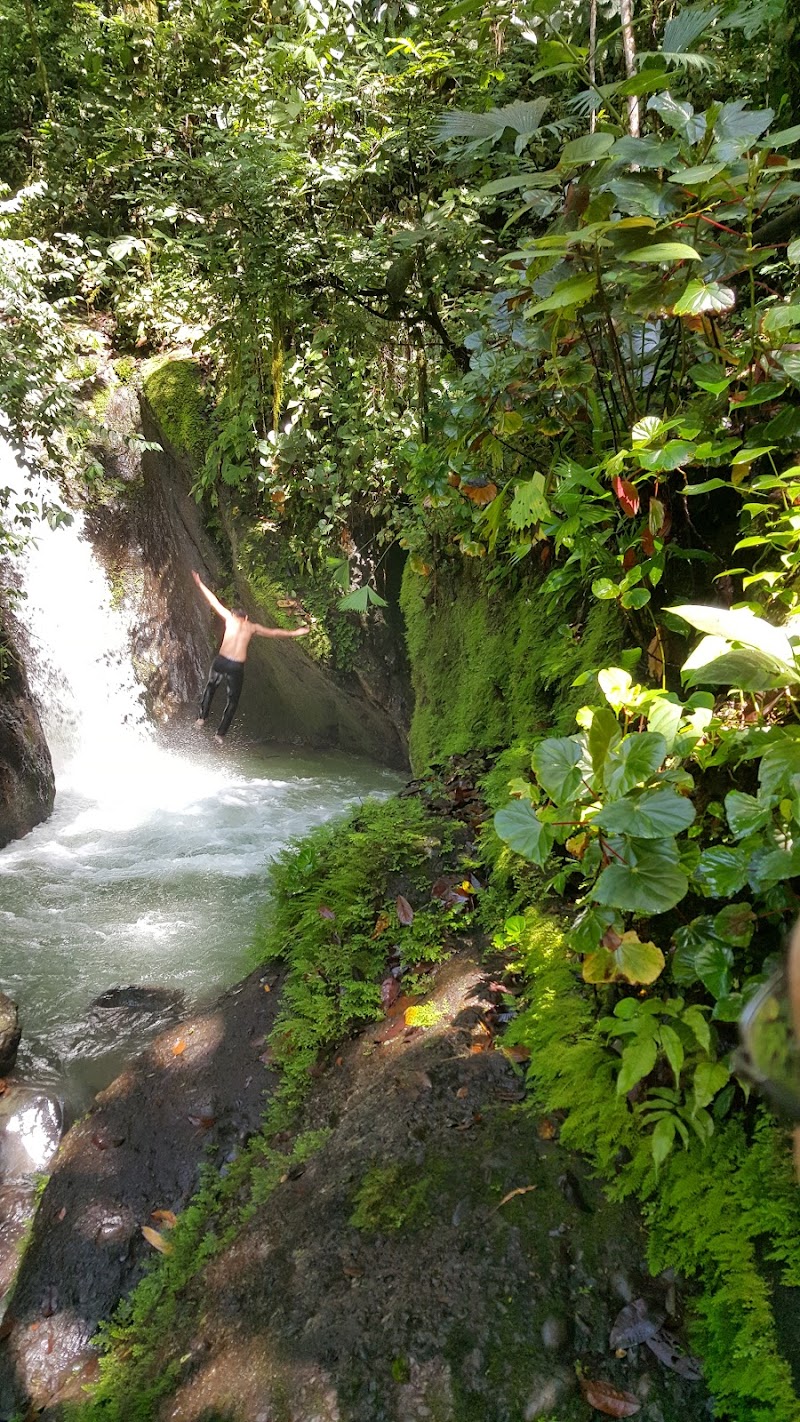 Midworld Adventure Park