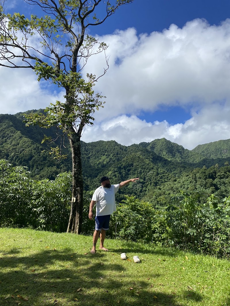 Rarotonga Circle Tour Drive