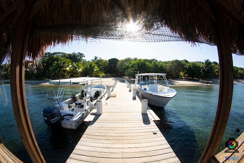 Snorkeling at West Bay