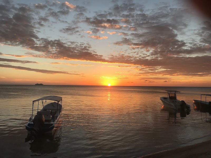 Roatan Chocolate Factory