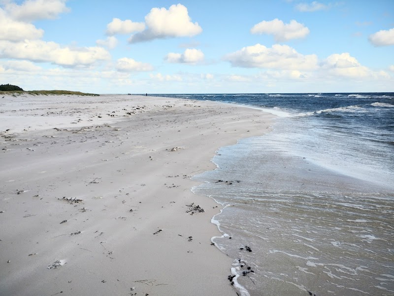 Dueodde Beach