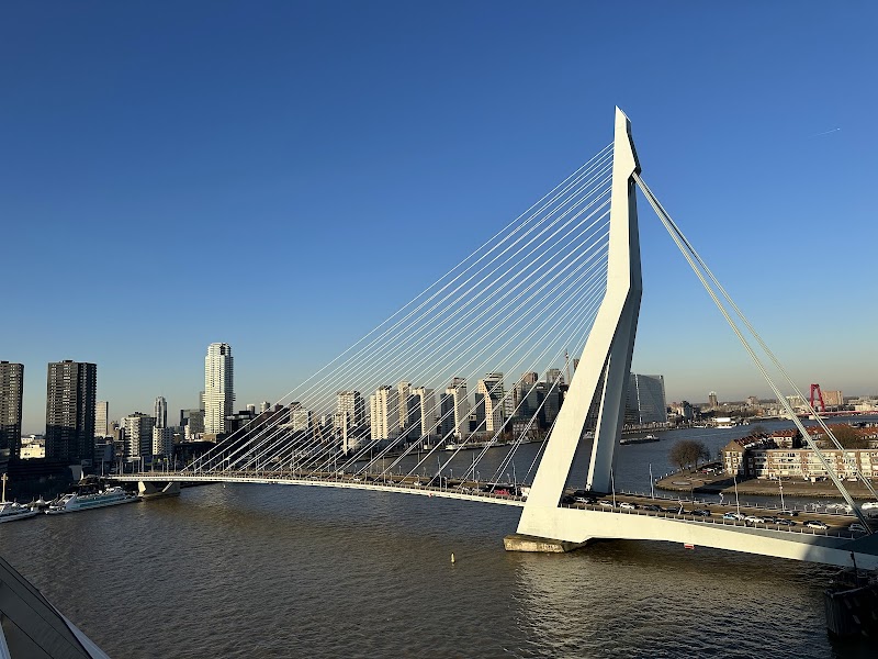 Erasmusbrug (Swan Bridge)