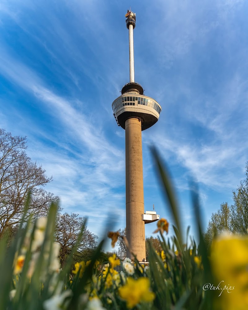 Euromast Tower
