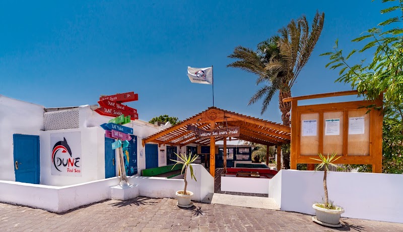 Red Sea Diving/ Snorkeling