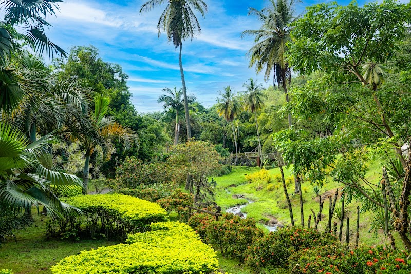 Zoo de Martinique (Parc des Différences)