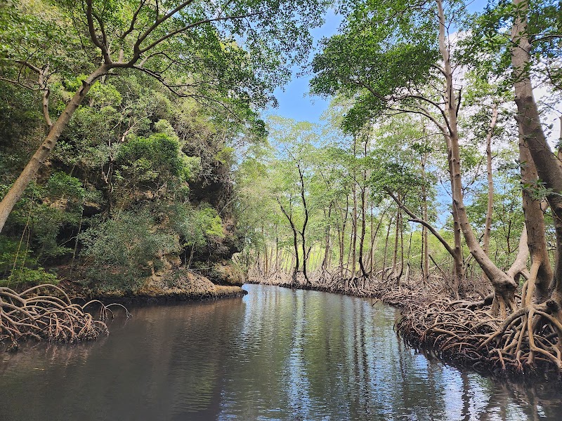 Los Haitises National Park