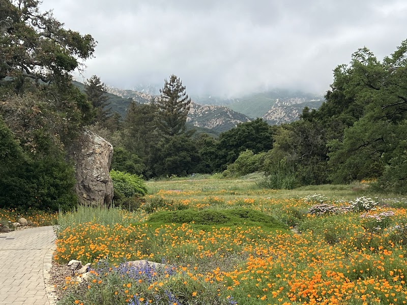 Santa Barbara Botanic Garden