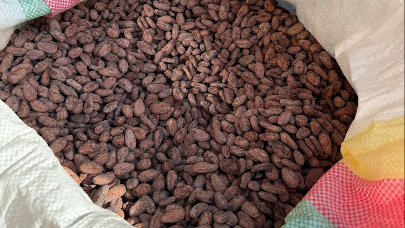 Clôde Chocolate Factory