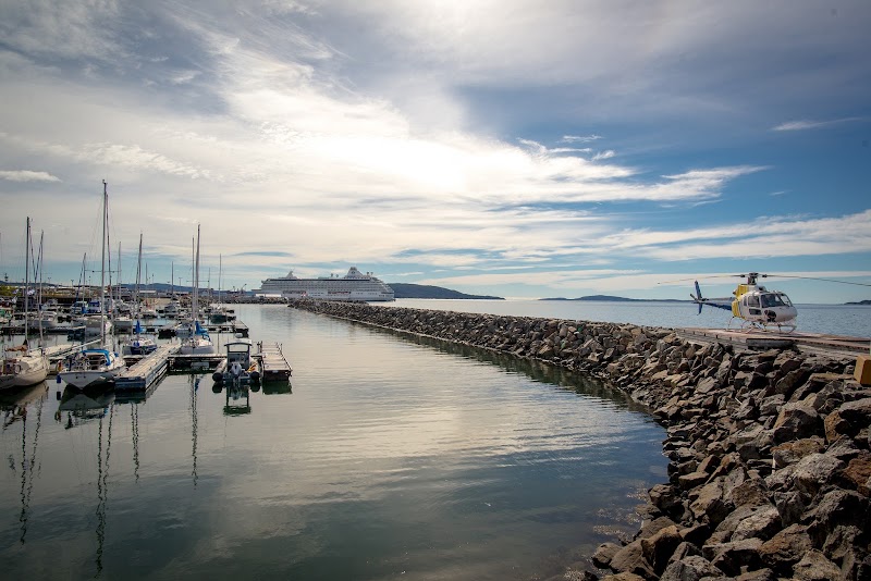 Whale Watching Tours