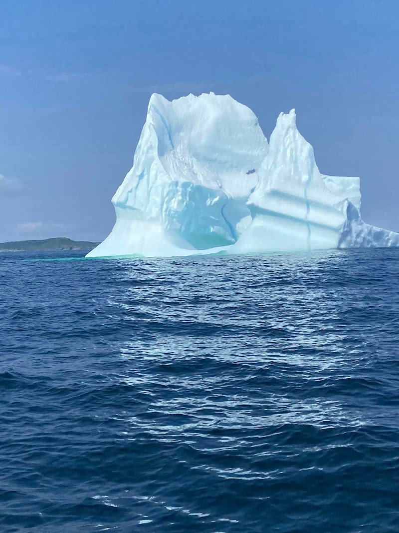 Iceberg Alley Viewing