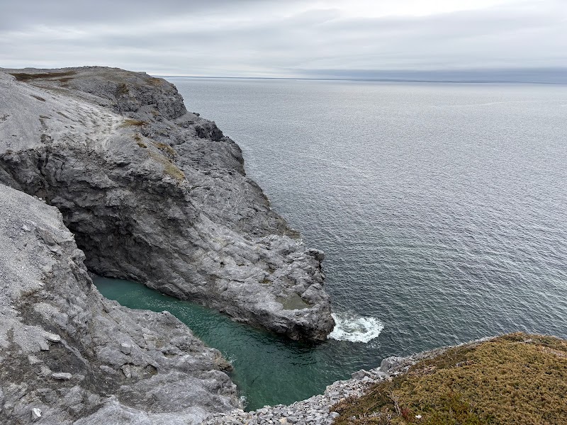 Burnt Cape Ecological Reserve