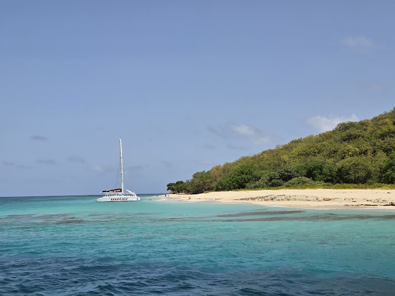Buck Island Reef National Monument