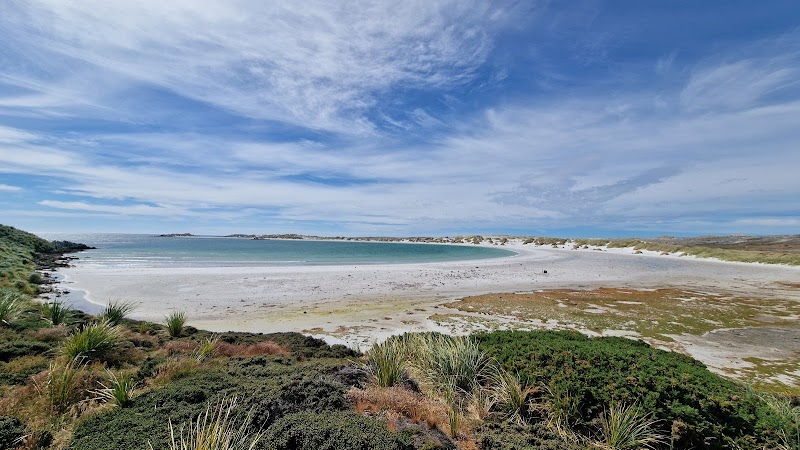 Magellanic Penguin Colonies